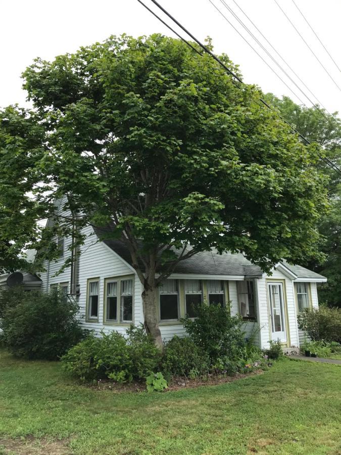 Studio 181 Bed & Breakfast Port Clyde Exterior foto